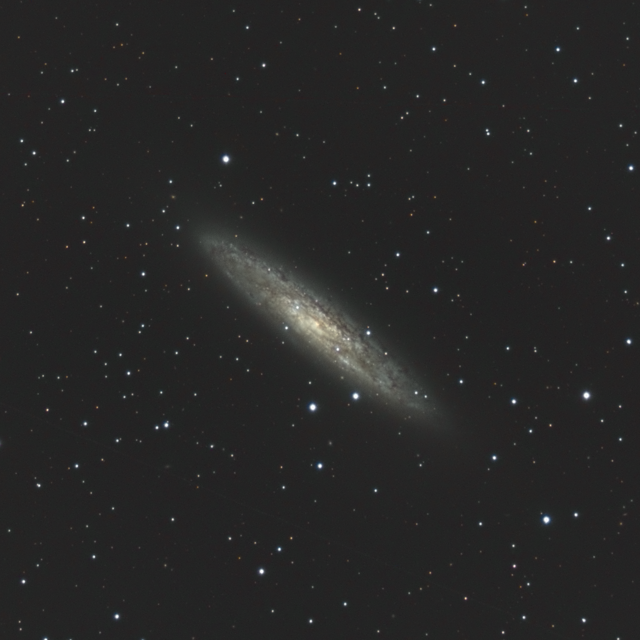 La galaxie du sculpteur NGC 253