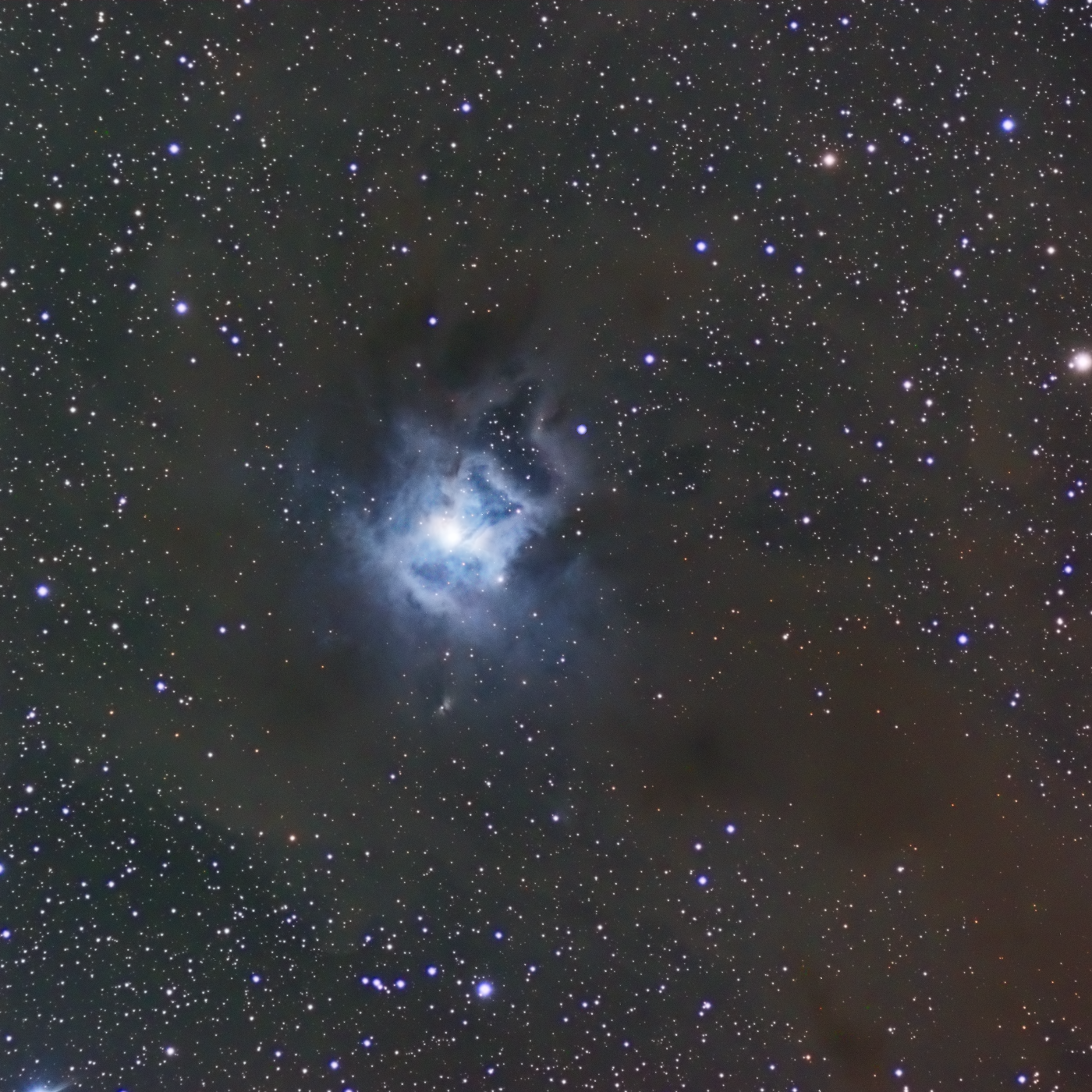 La nébuleuse de l’iris NGC7023