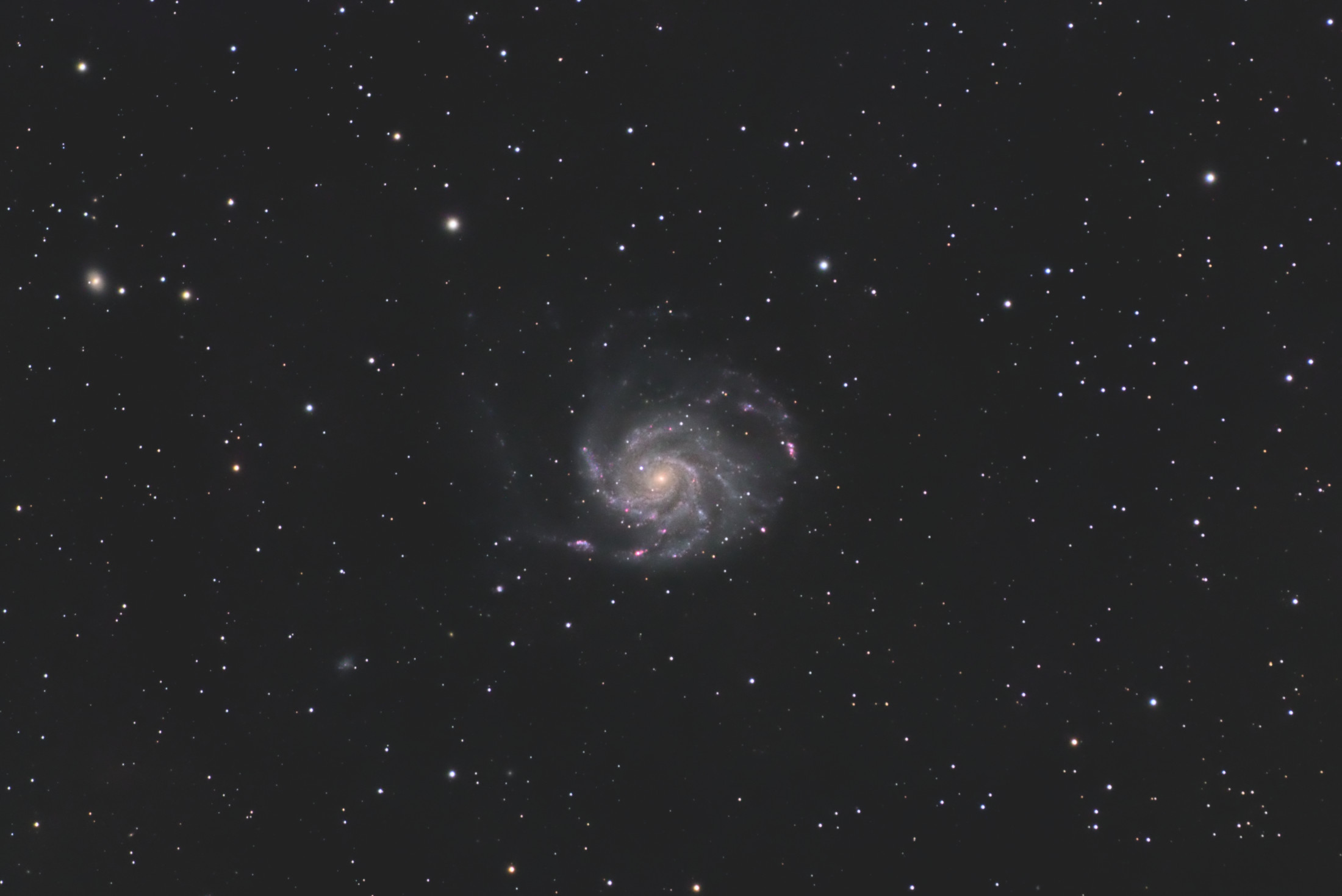 La galaxie M101