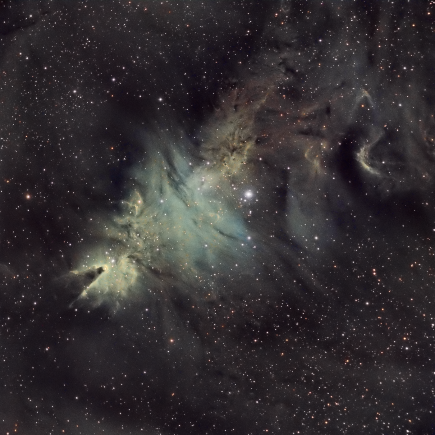 La nébuleuse du cône ou Christmas Tree NGC2264