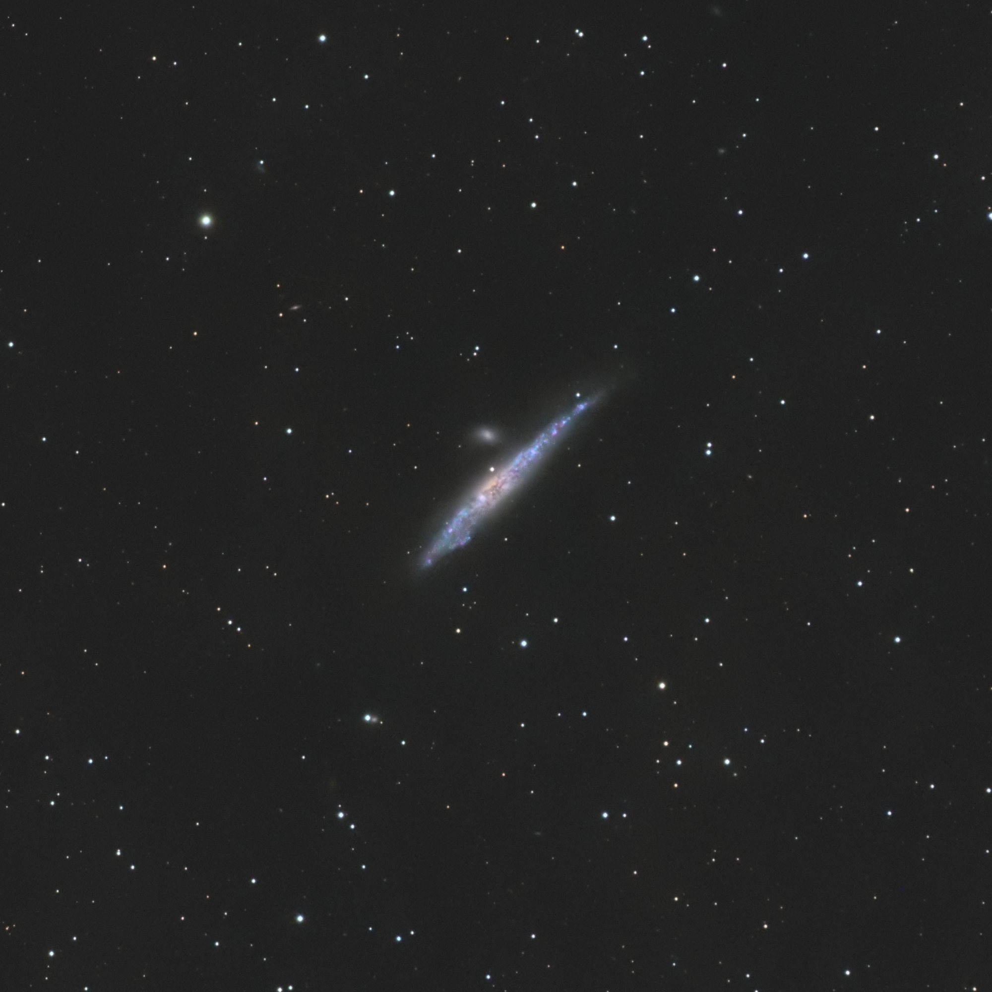 La galaxie de la baleine NGC 4631